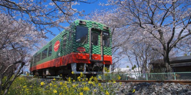 Japan, Kanto Region, Tochigi Prefecture, Moka, View of Moka Railway Line with cherry tree. (Photo by: JTB/UIG via Getty Images) (Photo by: JTB Photo/UIG via Getty Images)