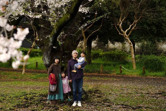 3人目の女性がお腹にいる家族。大きな樹があって、桜が咲いて、家族が立てば、他に一体何がいるでしょうか。