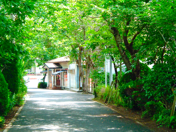 近頃では、近隣の住民の方の引越しに伴い、家庭の庭に植えていた樹木の寄付なども増えてきたという。