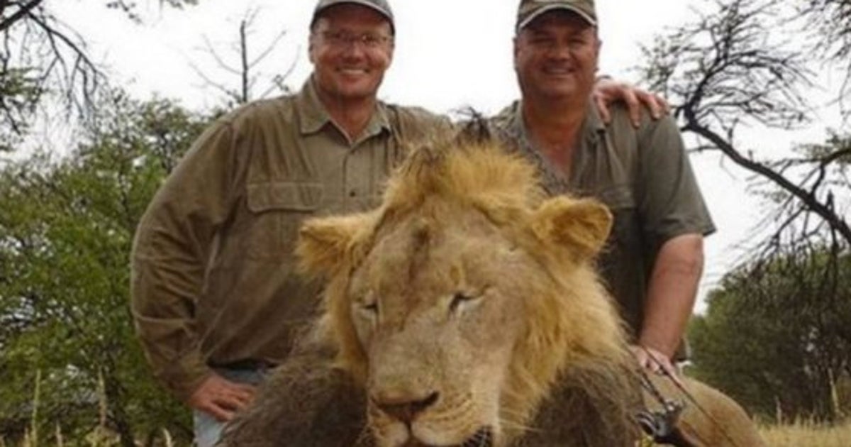 ライオンなどの野生動物を趣味で射殺する トロフィーハンティング 団体がオークション開催 ハフポスト ライオンなどの野生動物を趣味で射殺する トロフィーハンティング 団体がオークション開催 ハフポスト