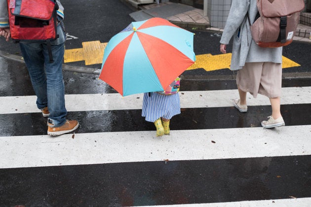 生後４ヶ月のときに齋藤夫婦の里子になったのんちゃん。今は生みのご両親の元に戻り、時々齋藤家にも遊びにくる。