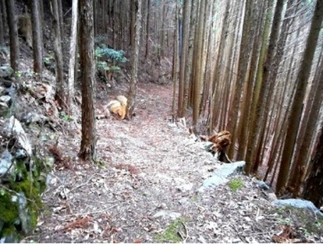 川上村から五社峠を越えて隣町へ抜ける山道は、今も残る土倉道の一部だ