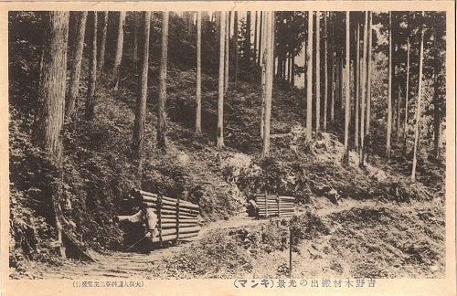 ●「吉野木材搬出の光景（キンマ）」（大和大瀧桝谷林生堂発行）。大正後期～昭和初期頃、木材を木馬に載せて運び出した＝上下いずれも成瀬匡章氏提供