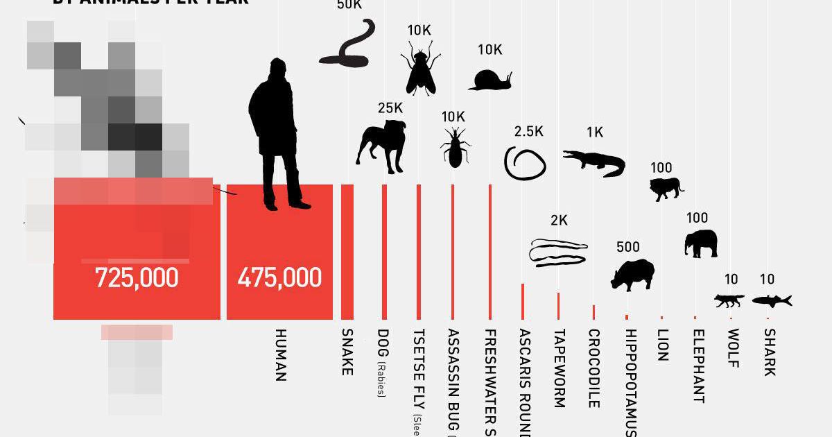 どの動物が人間を一番殺しているのか ビル メリンダ ゲイツ財団がまとめた驚きの結果 ハフポスト