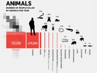 どの動物が人間を一番殺しているのか ビル メリンダ ゲイツ財団がまとめた驚きの結果 ハフポスト News