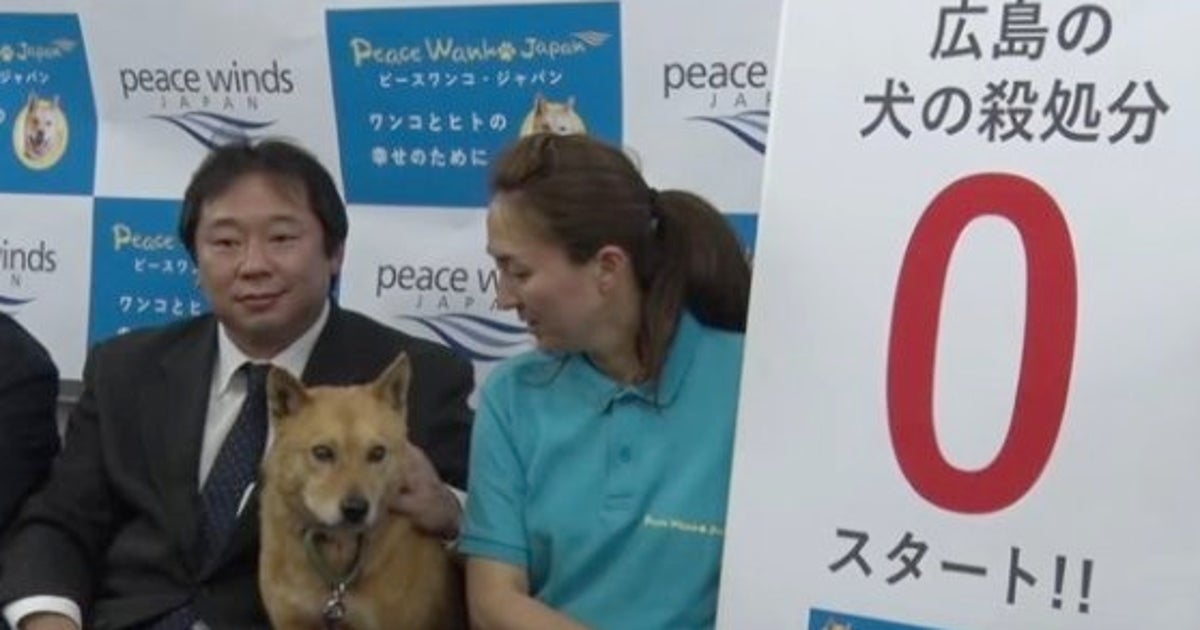 広島県 犬の殺処分ゼロへ Npoが全頭引き取り 全国ワーストからの挑戦 ハフポスト 広島県 犬の殺処分ゼロへ Npoが全頭引き取り 全国ワーストからの挑戦 ハフポスト
