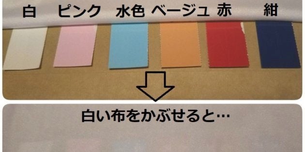 下着の色 透けないから白 は間違っている 下着屋さんが検証ツイートをした理由 ハフポスト Life