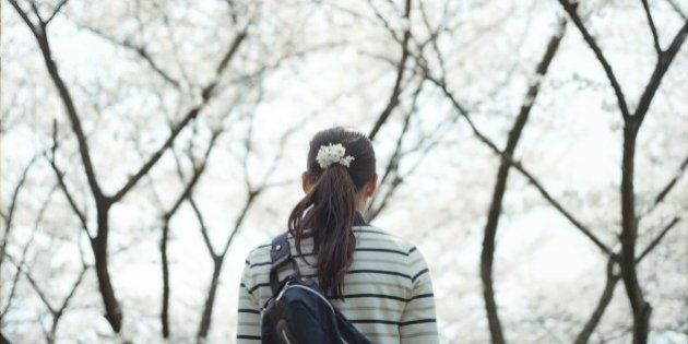 Young girl walking under sakura blossom, Osaka, Japan.