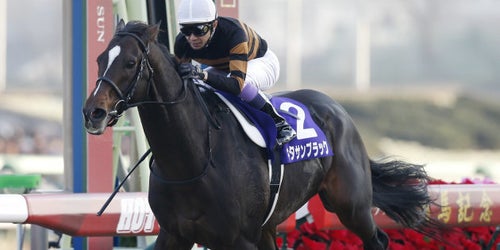 有馬記念、キタサンブラックが有終の美を飾る GI最多タイ7勝