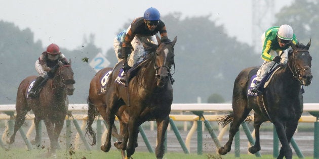 第156回天皇賞・秋で優勝した武豊騎乗のキタサンブラック（2017年10月29日東京競馬場）