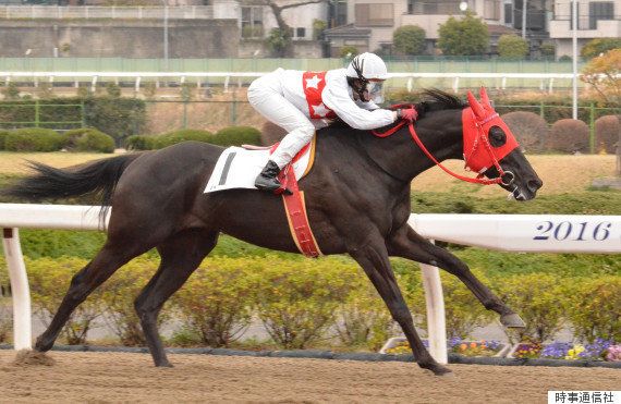 藤田菜七子騎手、初勝利「馬にはありがとうの一言です」 中央競馬で16 