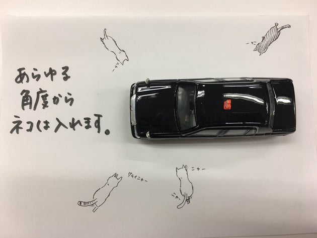 ネコはあらゆる角度から車に忍び込む ミニカーで呼びかける 猫バンバン が超かわいい ハフポスト