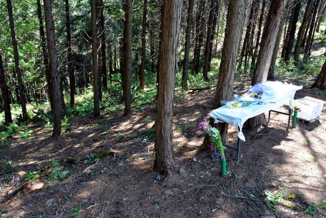 被害女児の遺体が遺棄された山林の斜面。一審判決後、新しい花束が手向けられていた=2016年撮影、茨城県常陸大宮市