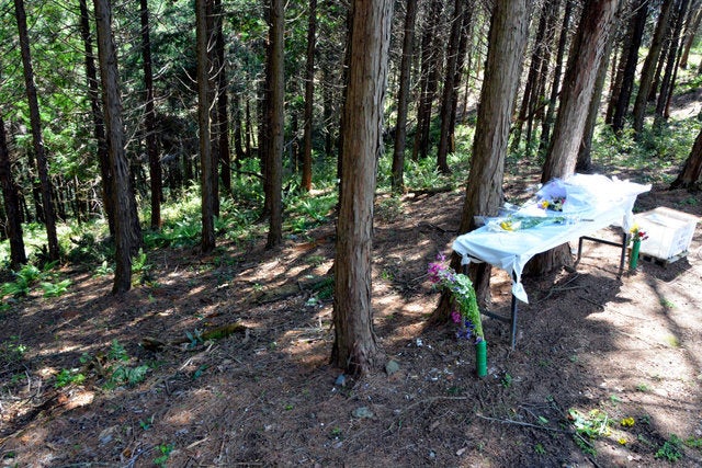 被害女児の遺体が遺棄された山林の斜面。一審判決後、新しい花束が手向けられていた＝２０１６年撮影、茨城県常陸大宮市