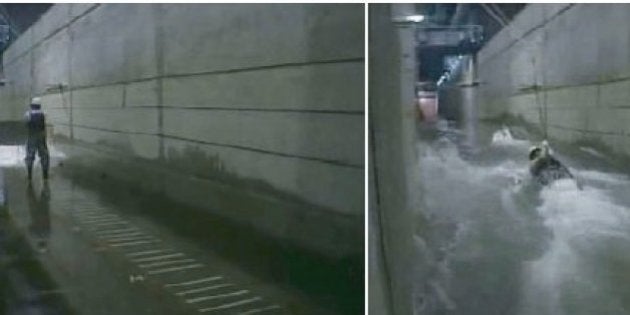 津波を侮らないで 50cmなら成人男性8割が流される 動画 ハフポスト