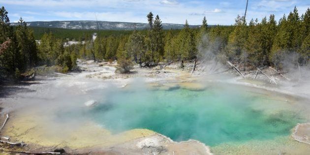 A view of a hot spring at the Norris Geyser Basin at Yellowstone National Park on May 12, 2016.Yellowstone, the first National Park in the US and widely held to be the first national park in the world, is known for its wildlife and its many geothermal features. / AFP / MLADEN ANTONOV (Photo credit should read MLADEN ANTONOV/AFP/Getty Images)