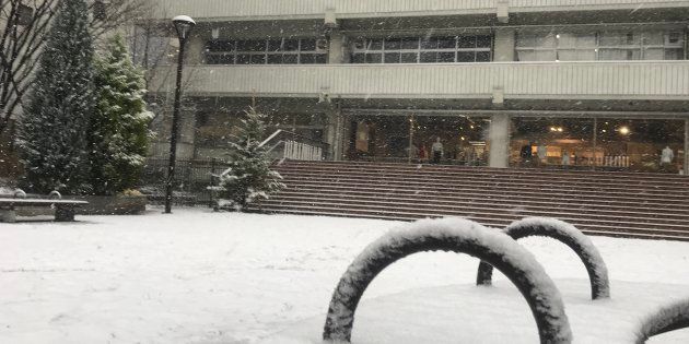 雪に覆われる公園（東京・千代田区）＝2018年1月22日