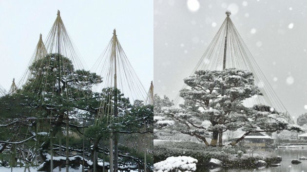 左：兼六園、右：昭和記念公園