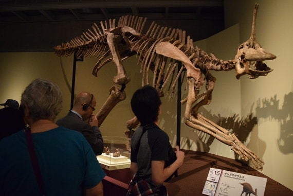 震災で壊れた恐竜 復元へ 愛嬌あるチンタオサウルス ハフポスト