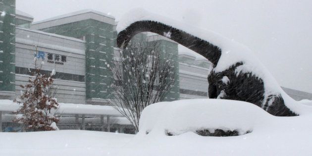 全身が雪に覆われた恐竜のモニュメント＝2月6日、福井市のJR福井駅前