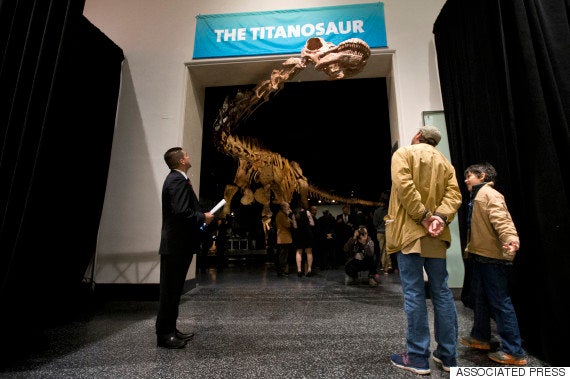 世界最大級の新種恐竜 巨大すぎて博物館の展示室に入りきらない ハフポスト 世界最大級の新種恐竜 巨大すぎて博物館の展示室に入りきらない ハフポスト