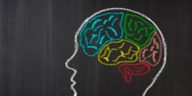 Human Brain Lobes on Blackboard