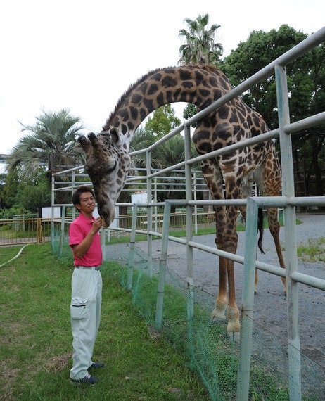 地震被害で休園が続く熊本市動植物園の今は | ハフポスト NEWS