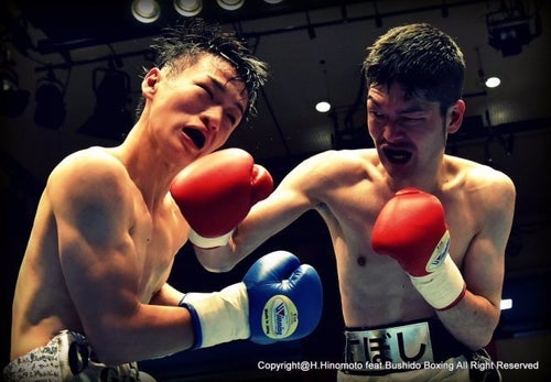 真心込めて作った煮干しの塑像 ColBase