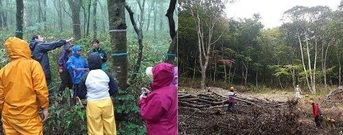 ●森林の循環を学ぶため、生徒たちは伐採前（左）と伐採後（右）に森を訪ねた