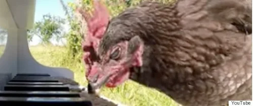 5c6380bc3b000075036b19f1.jpeg?