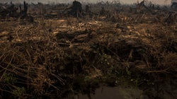 安倍一強政治にどう対峙するか