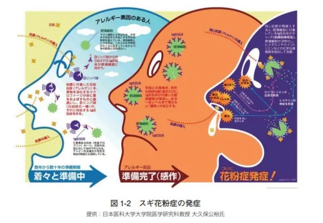 花粉症が死ぬほどつらい 環境省や製薬会社がすすめる対策はこれだ ハフポスト