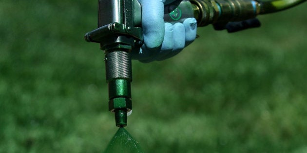 NOVATO, CA - MAY 29: Brown Lawns Green owner Bill Schaffer applies green paint to a brown lawn on May 29, 2015 in Novato, California. As the severe California drought continues to worsen, homeowners and businesses looking to conserve water are letting lawns go dormant and are having them painted to look green. The paint lasts eigh weeks on dormant lawns and will not wash off. (Photo by Justin Sullivan/Getty Images)