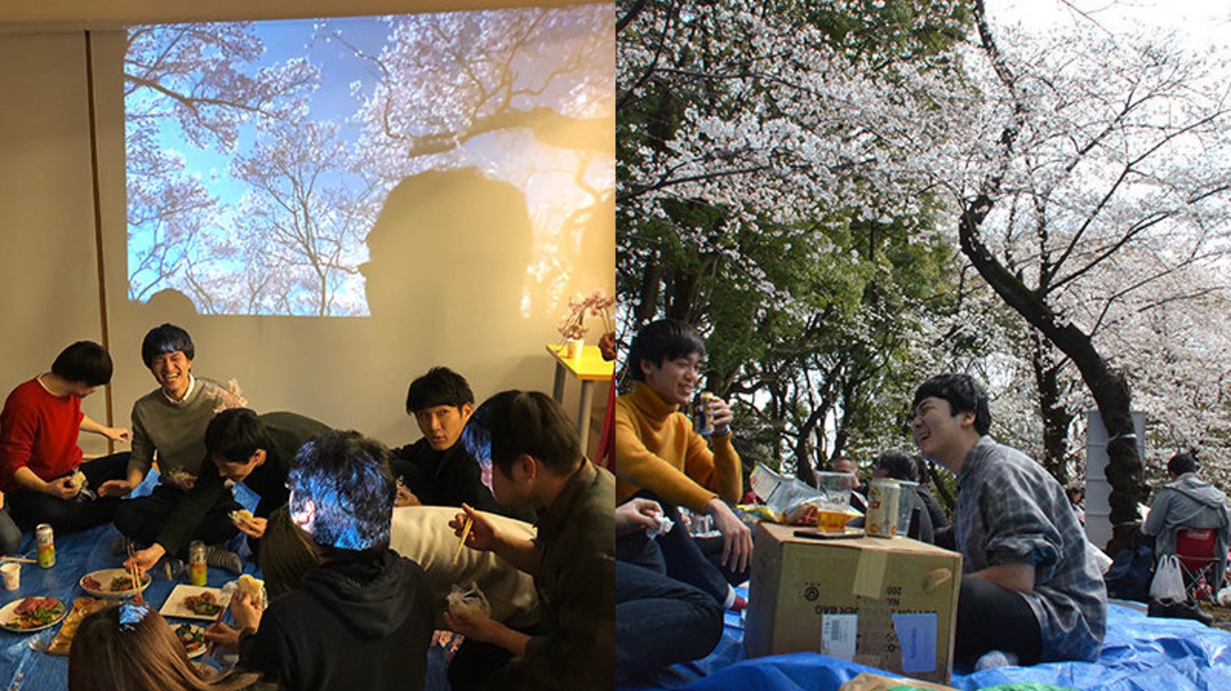 エア花見 インドア花見 が増殖中 桜の名所 上野公園にもちょっとした変化 ハフポスト