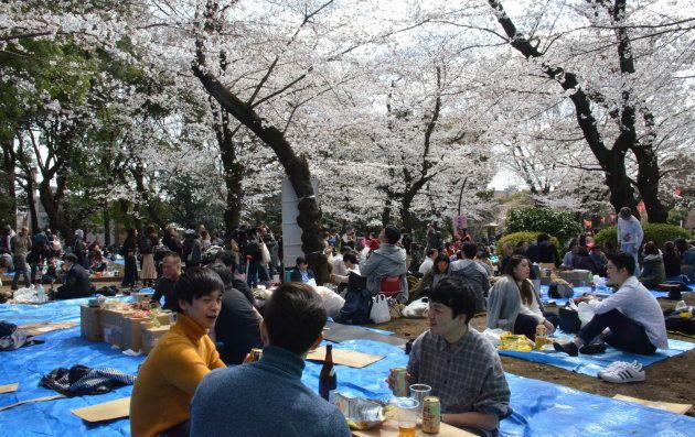 エア花見 インドア花見 が増殖中 桜の名所 上野公園にもちょっとした変化 ハフポスト News