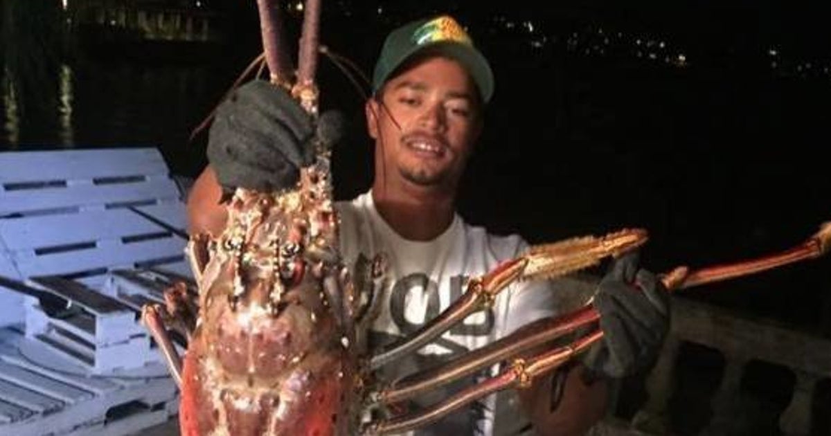 超巨大ロブスター 魔のバミューダ海域で捕らえられる 画像 ハフポスト