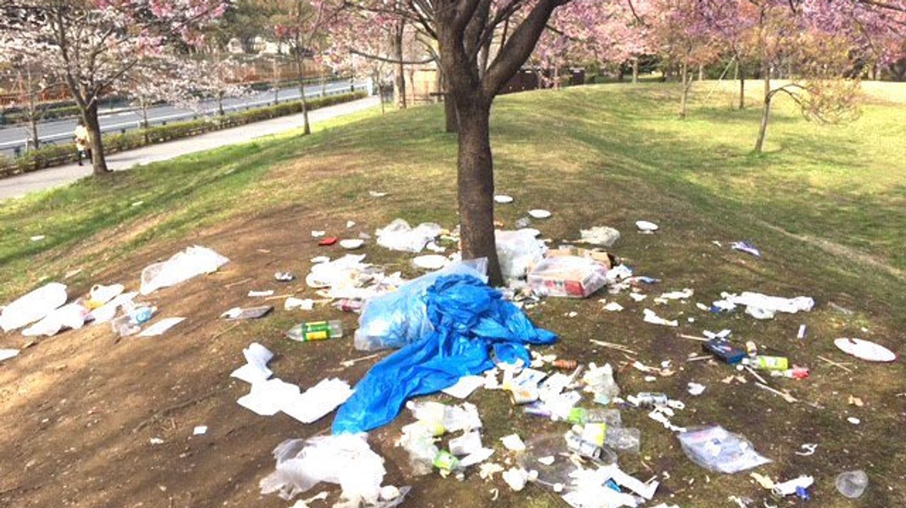 美しい桜の下にゴミ散乱 花見客のマナー 都立公園が悲痛な呼びかけ ハフポスト