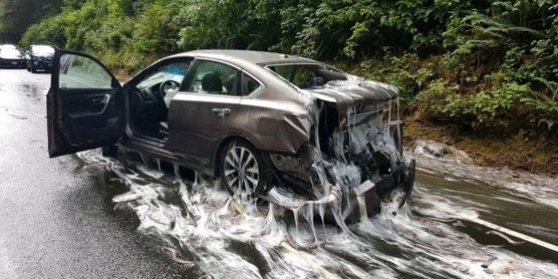 大量のヌタウナギで道路がヌルヌル 後続車4台がスリップ事故 閲覧注意 ハフポスト