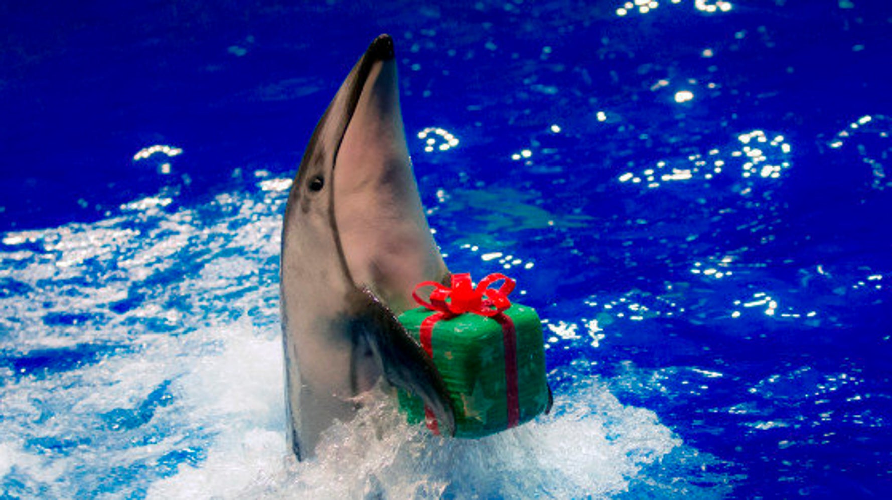 5c63866e2500003e048049d4.jpeg?