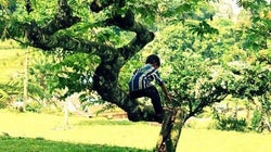 積極奇異型アスペルガーの僕が、だからひとりが好きな理由