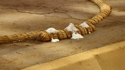 文化と社会的機会の平等―女性の土俵立ち入り禁制について