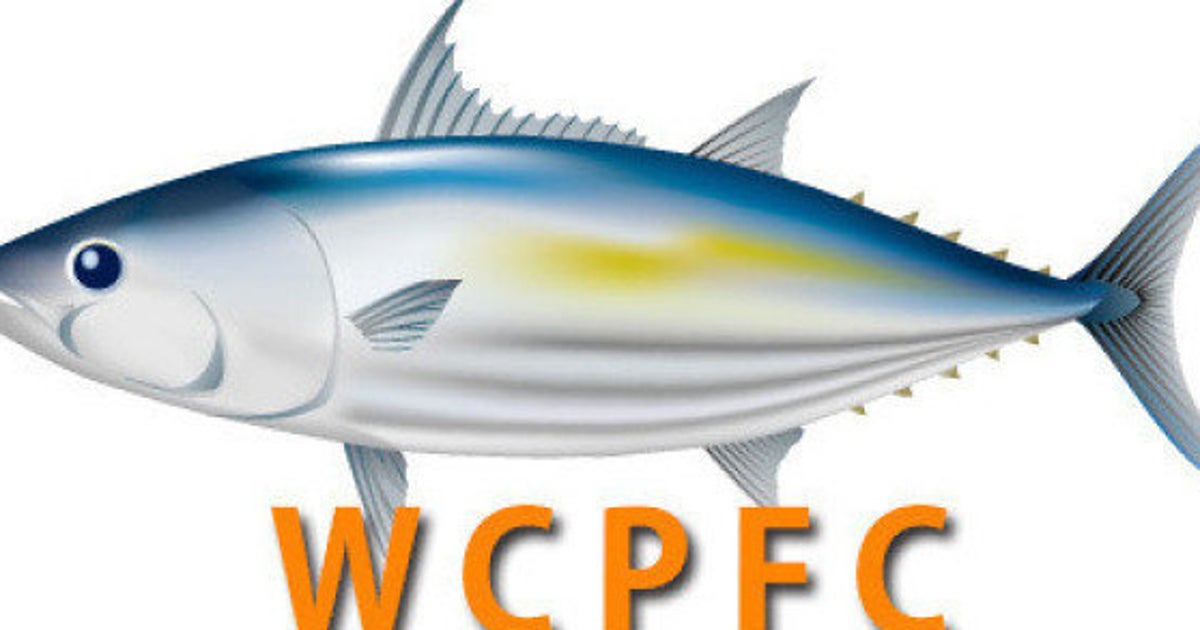 注目されるカツオの資源管理：WCPFC会議始まる | ハフポスト NEWS