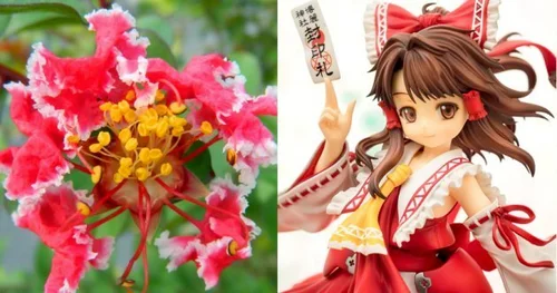 霊夢」中国で花の品種に。東方Projectの人気キャラから命名