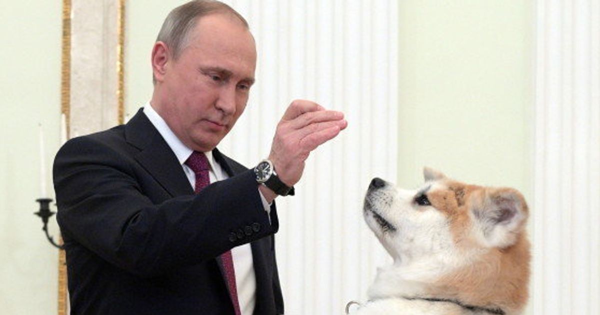 プーチン大統領、愛犬「ゆめ」にメロメロ【画像集】 | ハフポスト NEWS