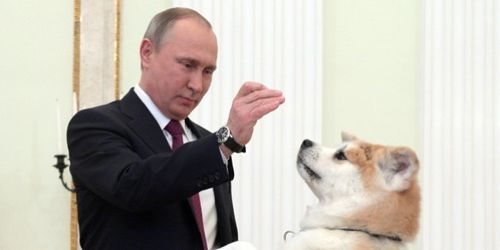 プーチン大統領、愛犬「ゆめ」にメロメロ【画像集】 | ハフポスト NEWS