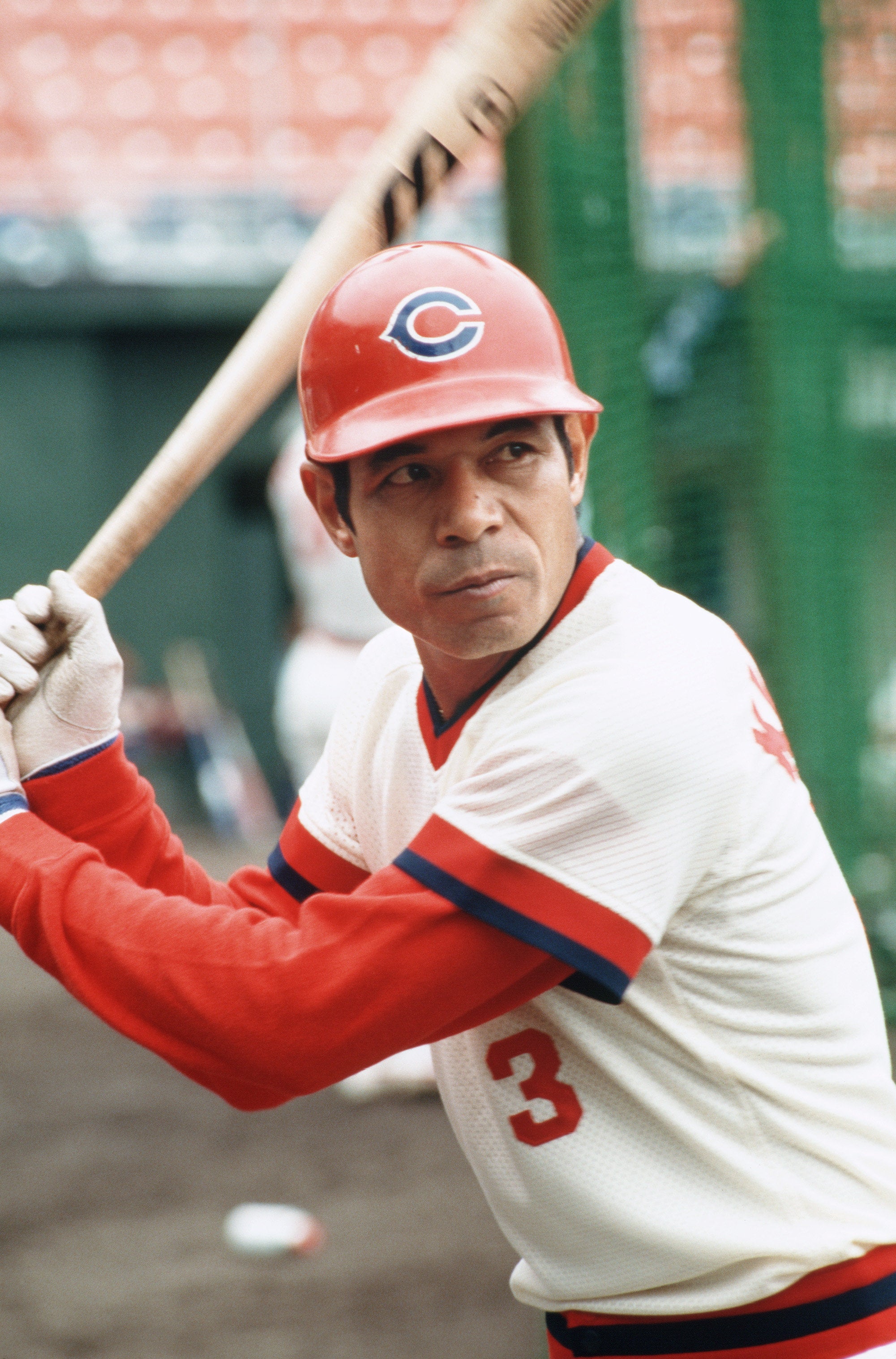 1970年代 広島カープ 鉄人 衣笠祥雄 実使用バット C3 ミズノ