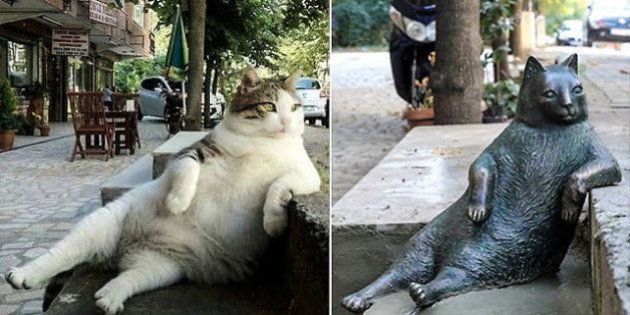 ずっと街を見守ってやるニャン トルコの名物猫 亡くなった後も同じポーズで佇む ハフポスト News