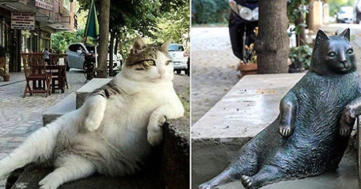 ずっと街を見守ってやるニャン トルコの名物猫 亡くなった後も同じポーズで佇む ハフポスト