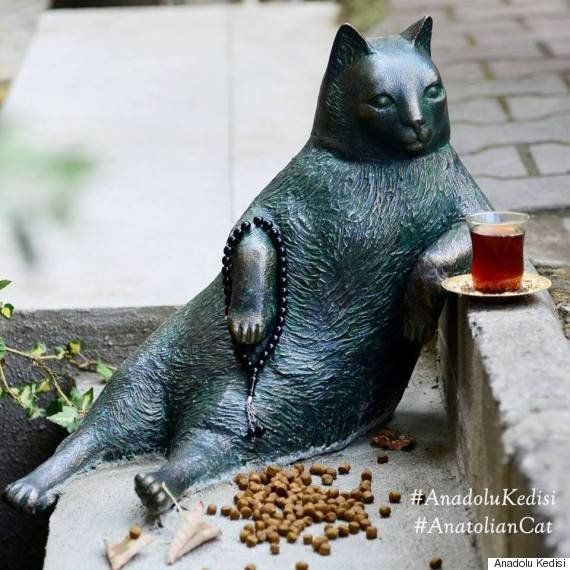 ずっと街を見守ってやるニャン トルコの名物猫 亡くなった後も同じポーズで佇む ハフポスト News