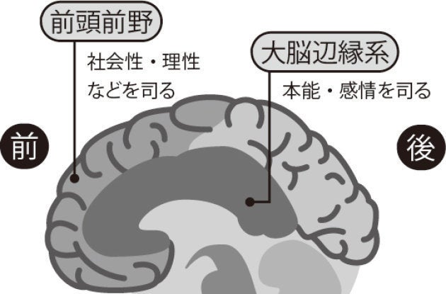 出所）樋口進『スマホゲーム依存症』（内外出版社、2017）